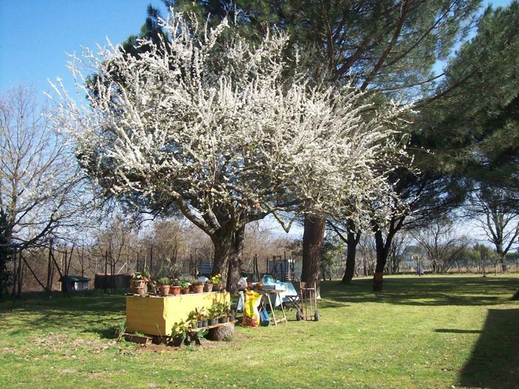 Campo Alle Monache Acomodação com café da manhã Bucine Exterior foto